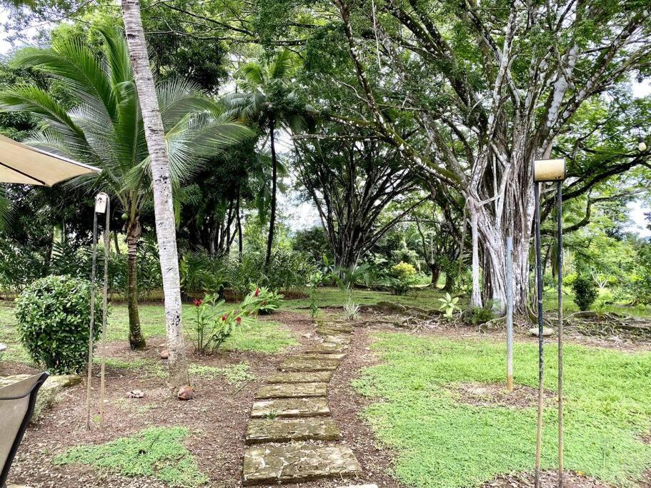 Laguna Eco Village #211 Pool Tenis Bbq Quepos Exterior photo